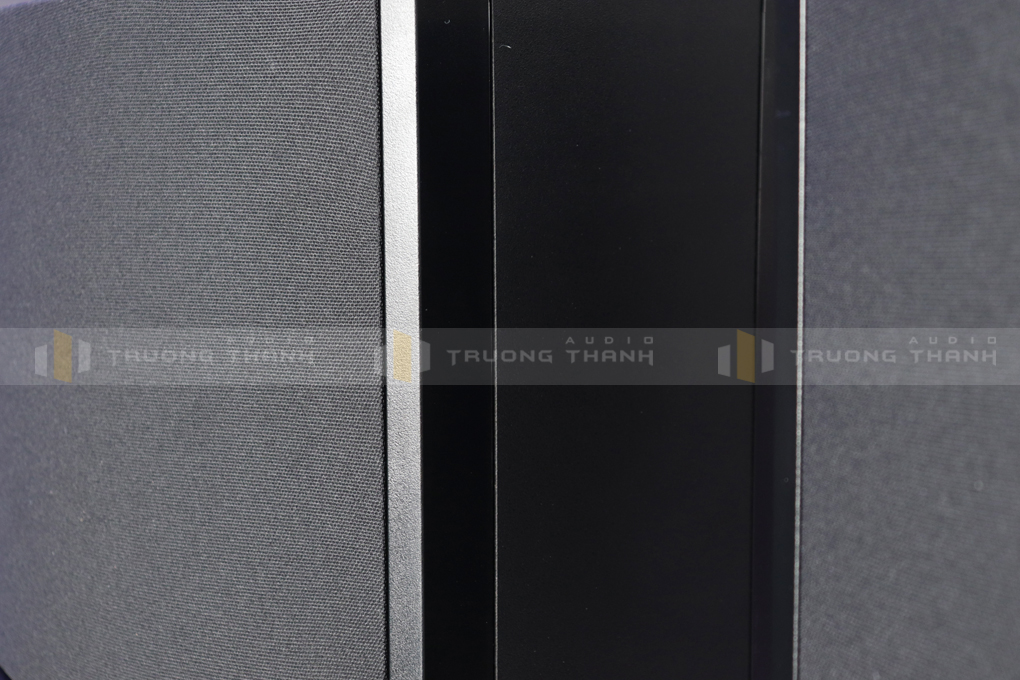 Loa Bose 301 series V pic 07