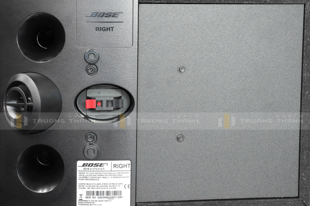 Loa Bose 301 series V pic 09