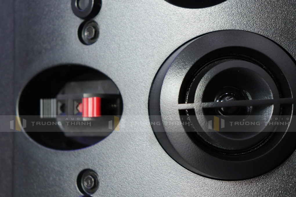 Loa Bose 301 series V pic 10