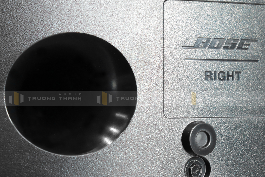 Loa Bose 301 series V pic 15
