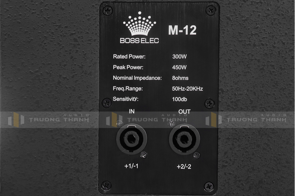 Ảnh sản phẩm Loa Boss Elec M12 14