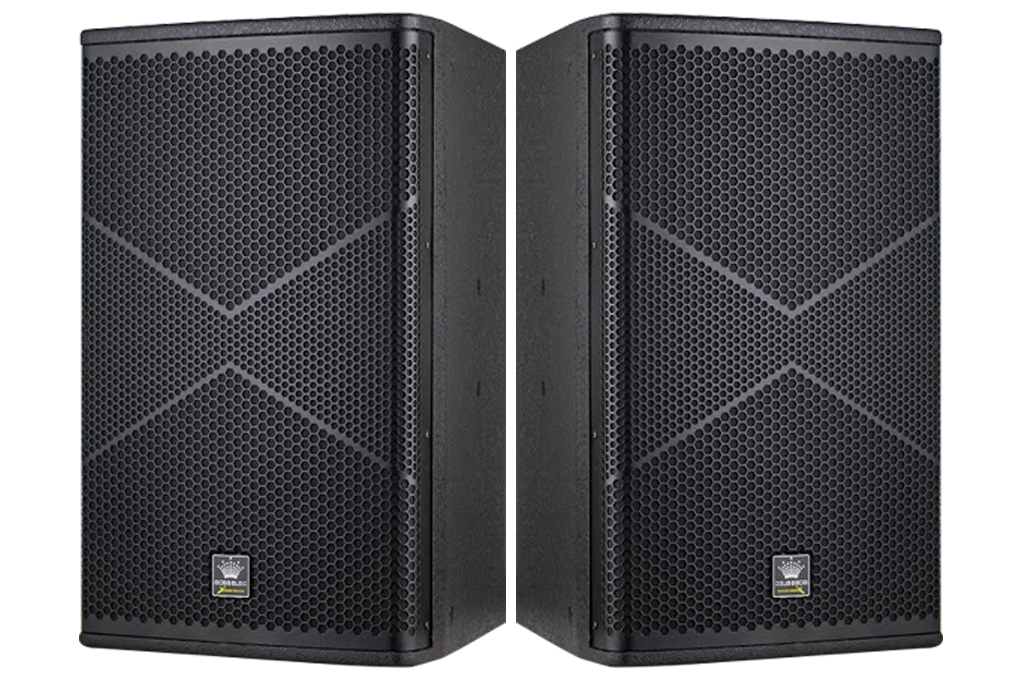 Loa Boss Elec M12