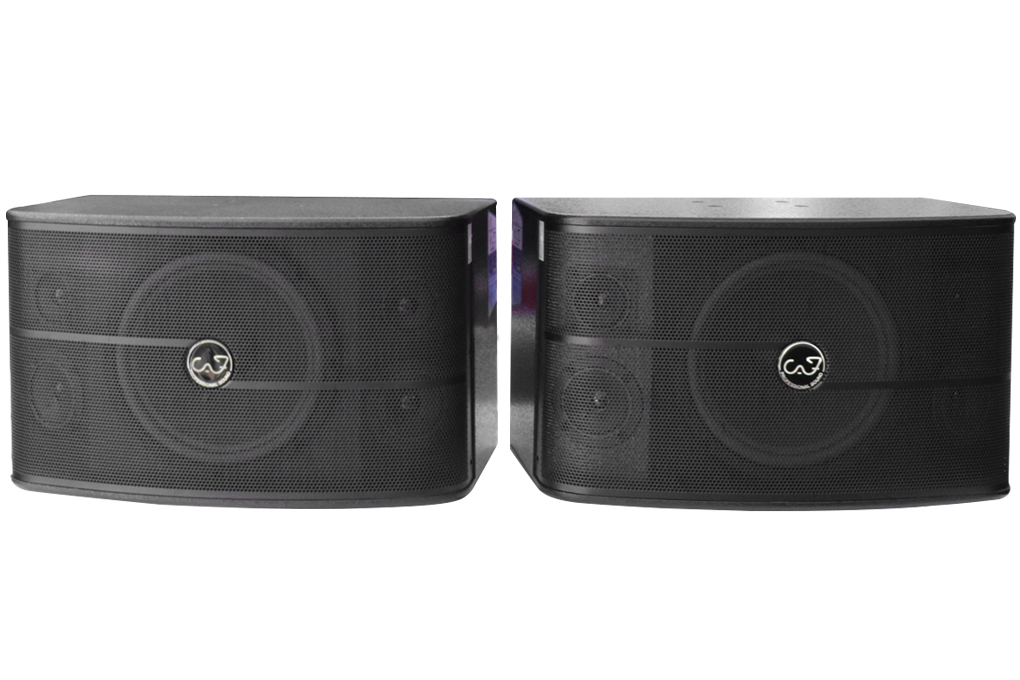 Loa CAF - CA450 pro