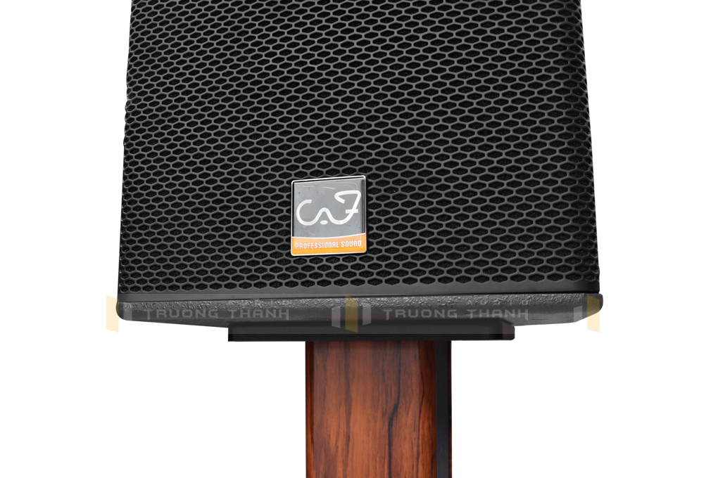 Ảnh sản phẩm Loa karaoke CAF HS12 Pro 5