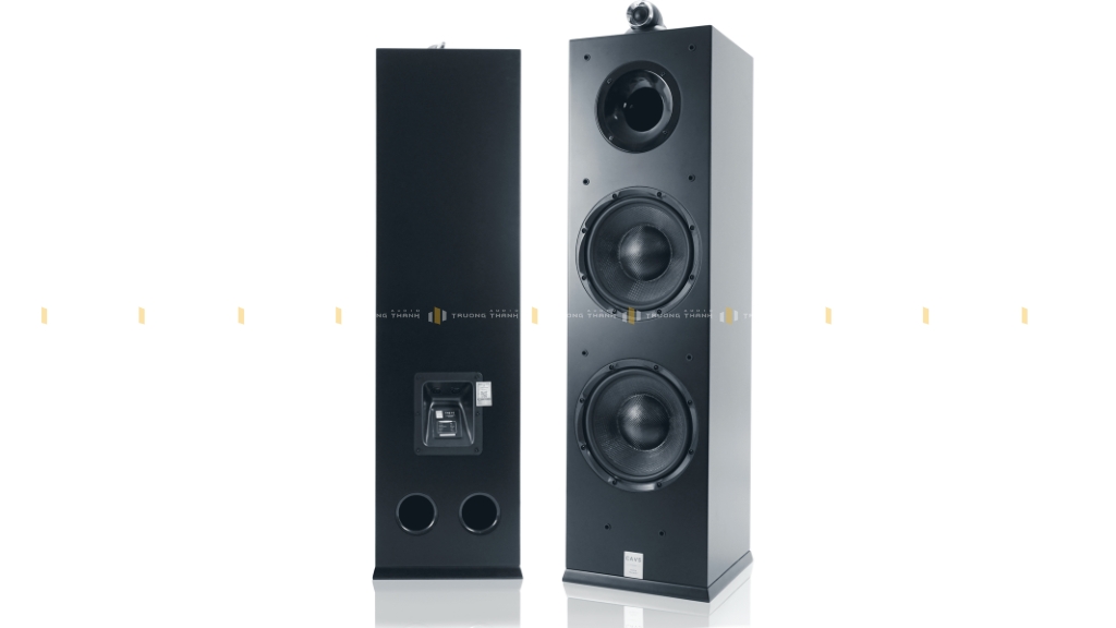 Ảnh sản phẩm Loa Hi-Fi CAVS TH210 3