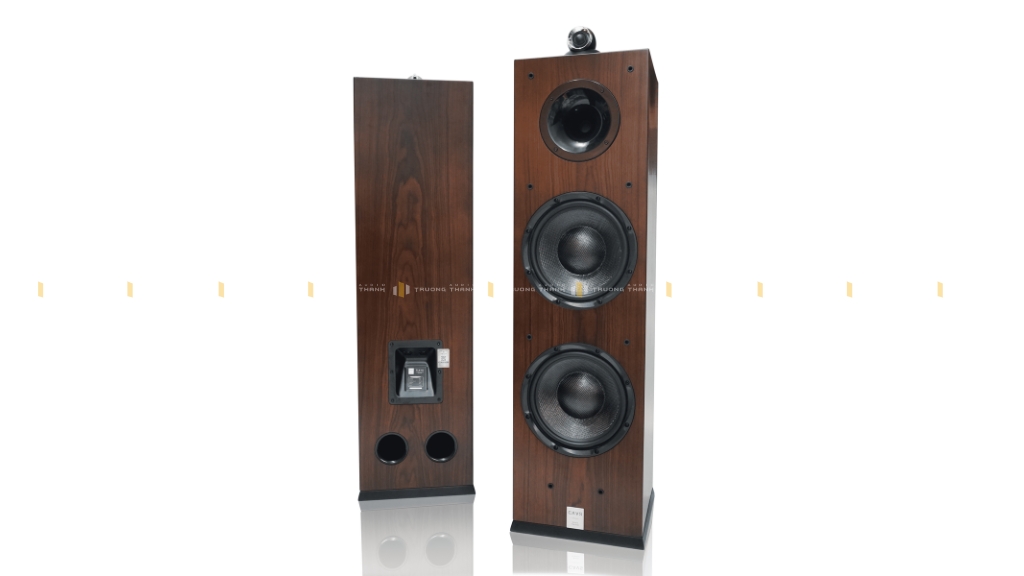 Ảnh sản phẩm Loa Hi-Fi CAVS TL210 3