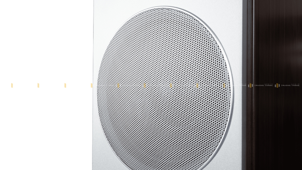 Ảnh sản phẩm Loa Hi-Fi CAVS TL210 7