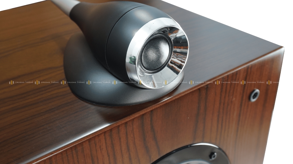 Ảnh sản phẩm Loa Hi-Fi CAVS TL210 6
