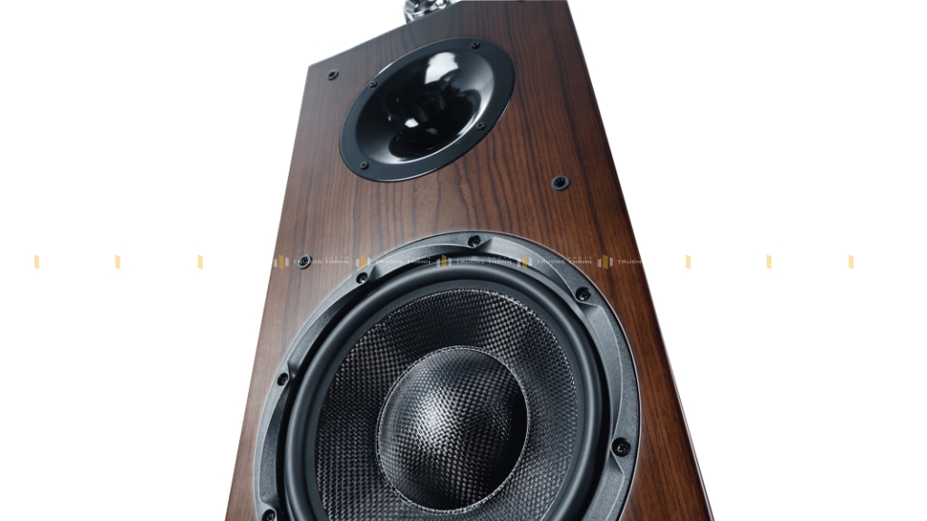 Ảnh sản phẩm Loa Hi-Fi CAVS TL210 5
