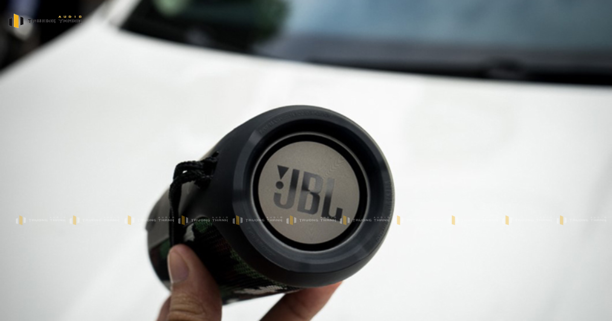 Ảnh sản phẩm Loa JBL FLIP 3 (Special Edition) 14