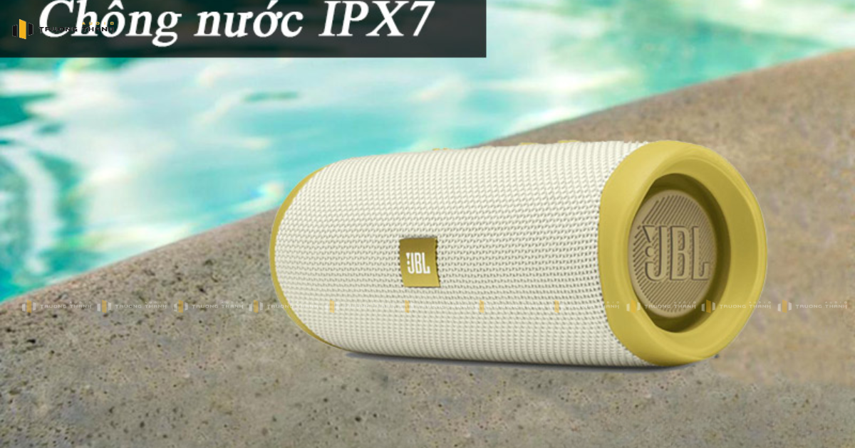 Ảnh sản phẩm Loa JBL Flip 5 Tomorrowland Edition 4