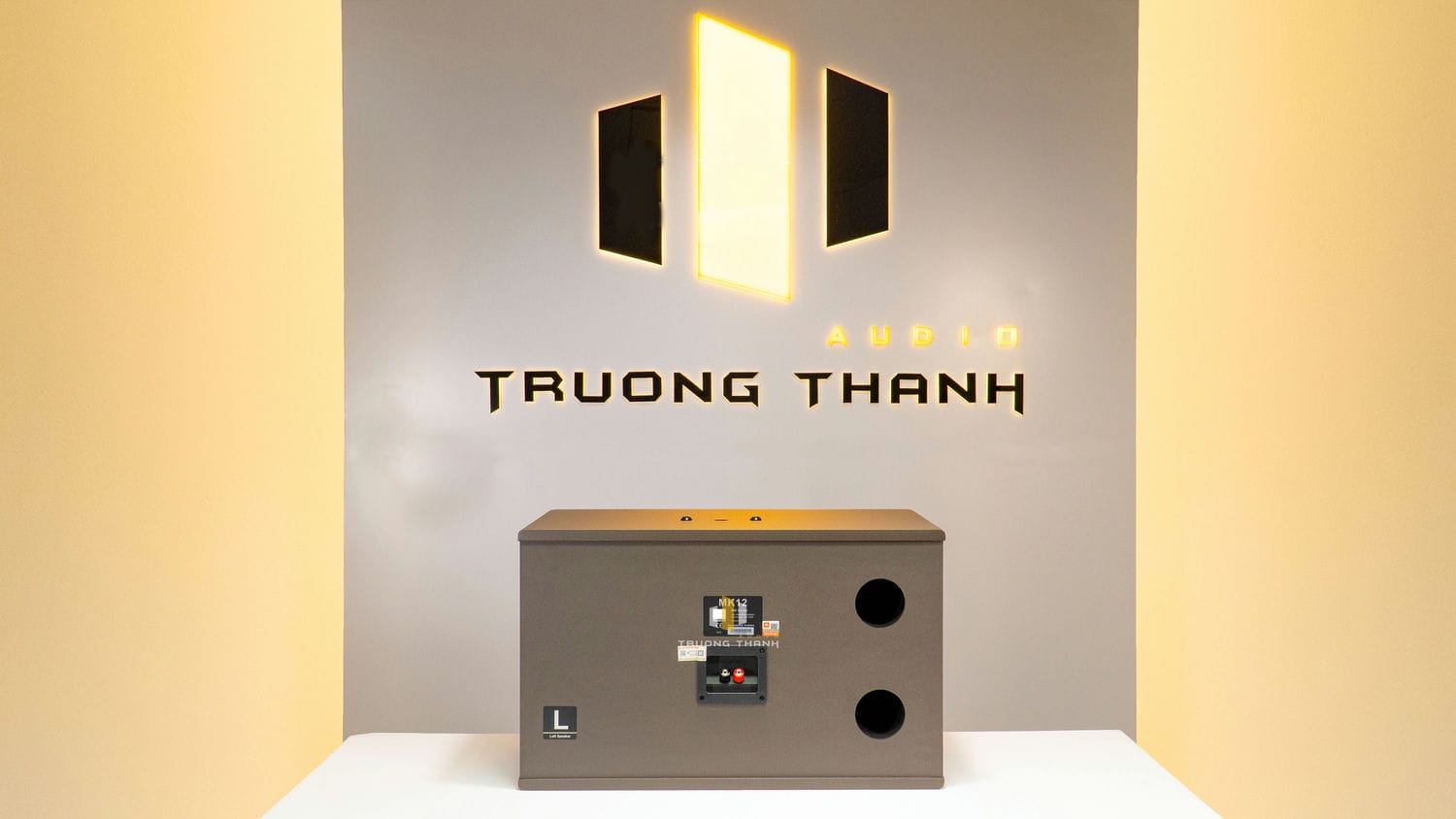 Mặt sau của Loa karaoke JBL MK 10