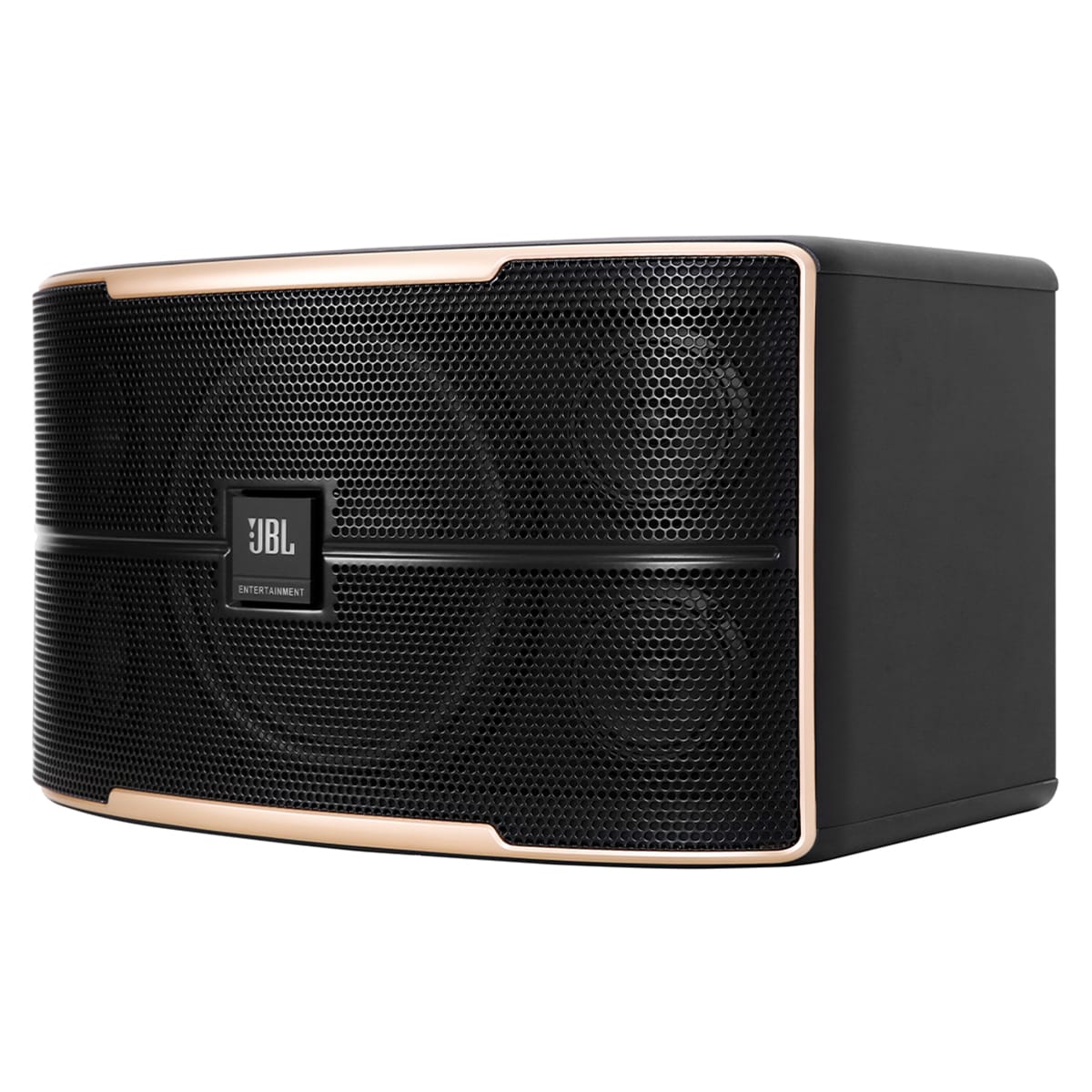Mặt bên phải của Loa karaoke JBL Pasion 10