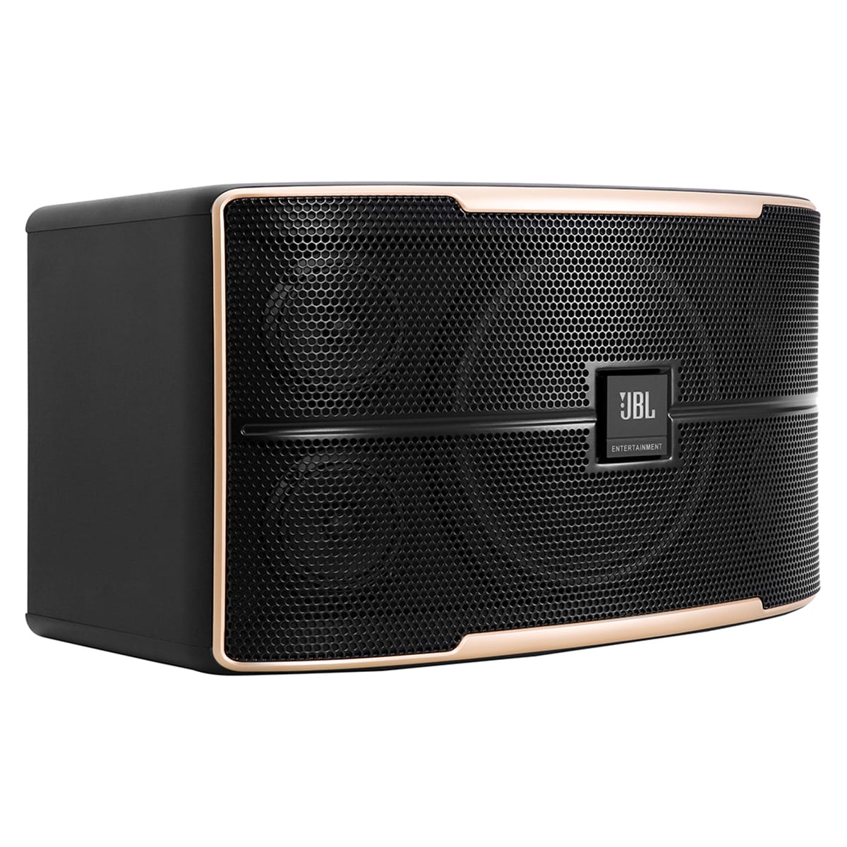 Mặt bên trái của Loa karaoke JBL Pasion 10