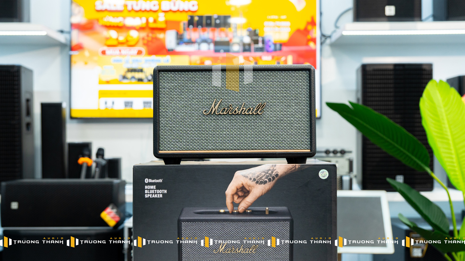 Ảnh sản phẩm LOA MARSHALL ACTON III (3) | CS 60W 4