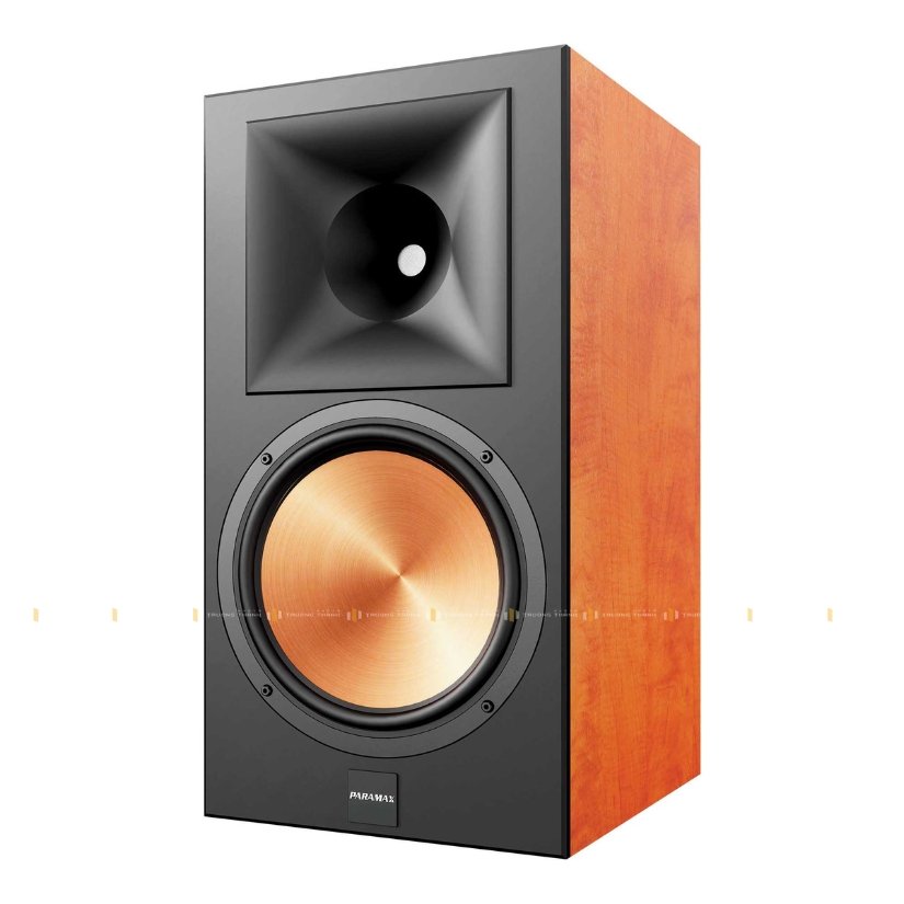 Ảnh sản phẩm Loa Paramax Euro 1001 Limited (Hàng Chính Hãng Likenew) 6