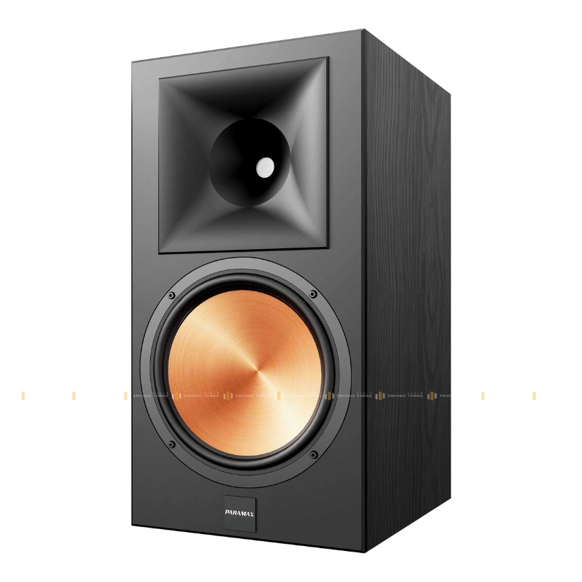 Ảnh sản phẩm Loa Paramax Euro 1001 Limited (Hàng Chính Hãng Likenew) 4