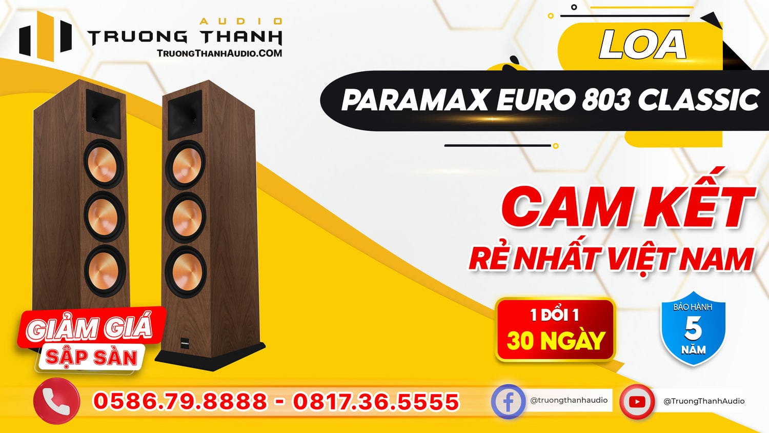 Ảnh nổi bật của sản phẩm Loa Paramax EURO 803 Classic 6