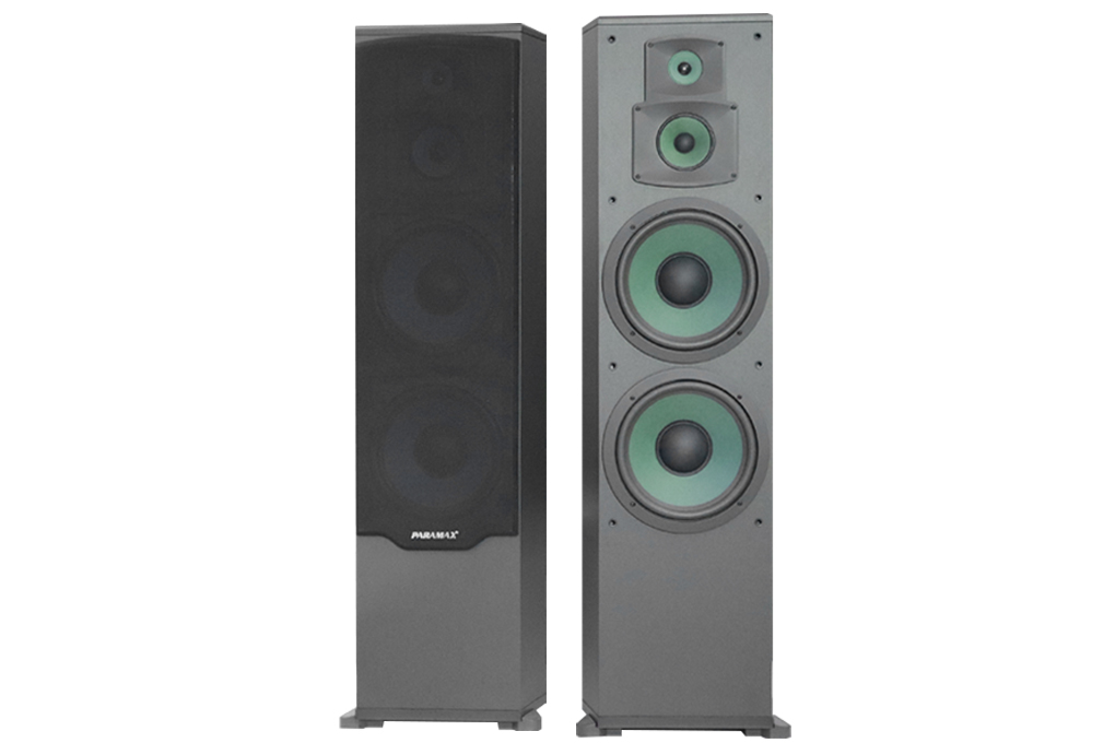 Loa Paramax F2000