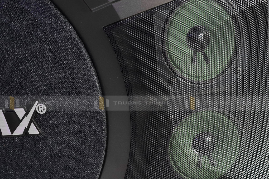 Ảnh sản phẩm Loa karaoke Paramax P1000 new (bass 25cm, 5 loa 3 đường) 6