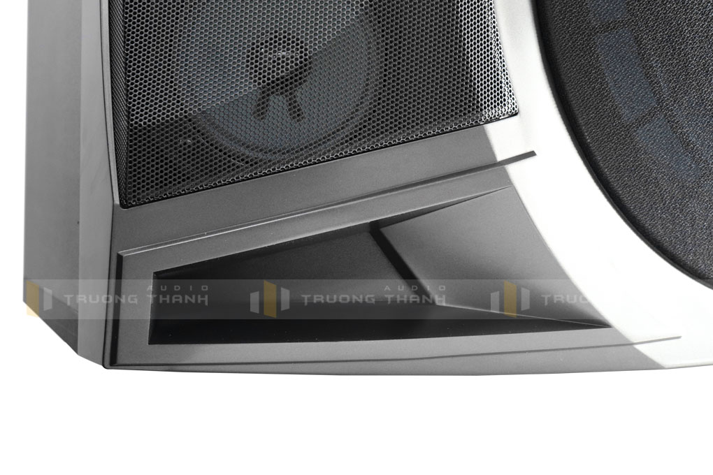 Ảnh sản phẩm Loa karaoke Paramax P1000 new (bass 25cm, 5 loa 3 đường) 5