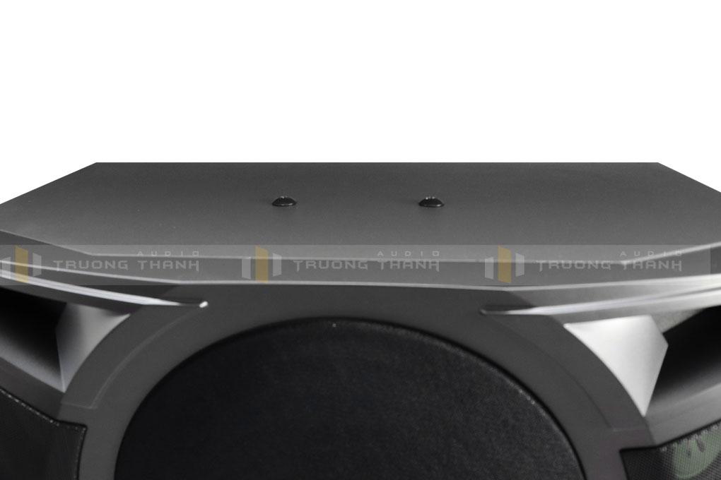 Ảnh sản phẩm Loa karaoke Paramax P1000 new (bass 25cm, 5 loa 3 đường) 9