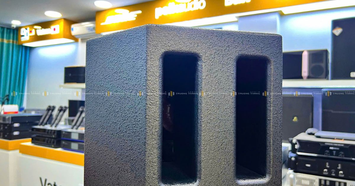 Ảnh sản phẩm Loa Paramax Pro V40 (New) 6