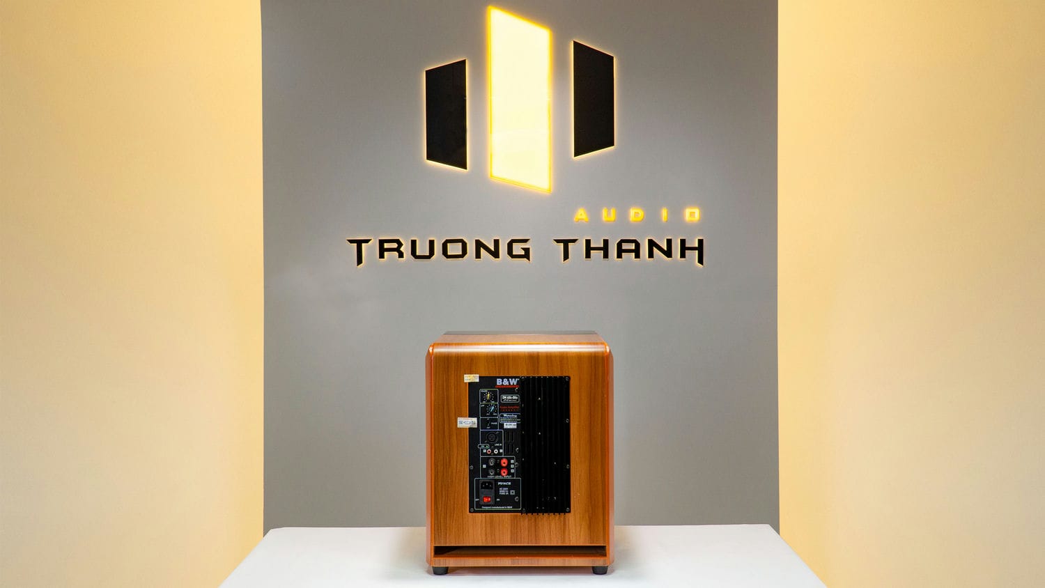 Ảnh nổi bật của sản phẩm Loa Sub Điện B&W DM 604-8No NEW (Sub điện bass 30) 5