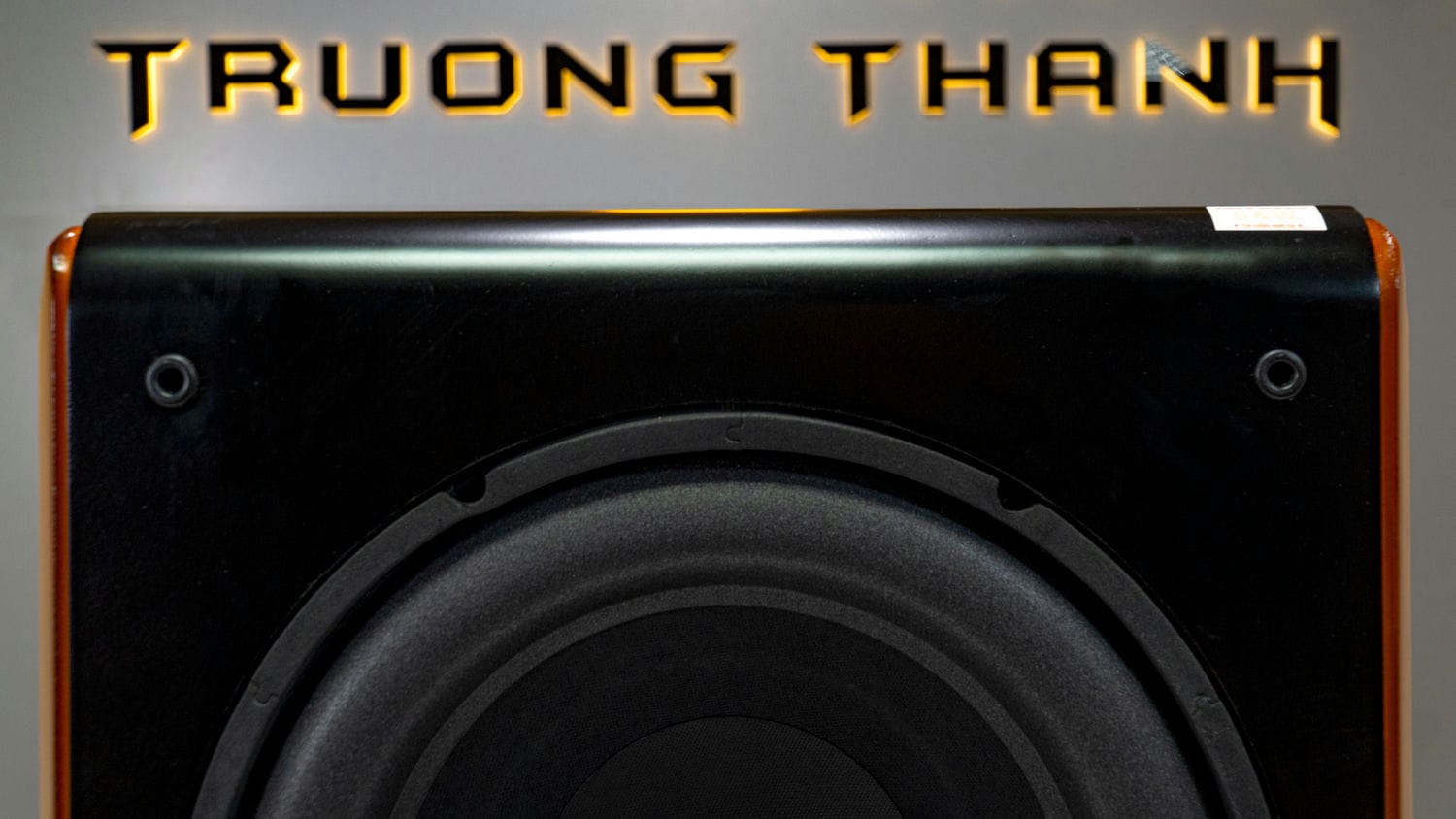 Ảnh nổi bật của sản phẩm Loa Sub Điện B&W DM 604-8No NEW (Sub điện bass 30) 10