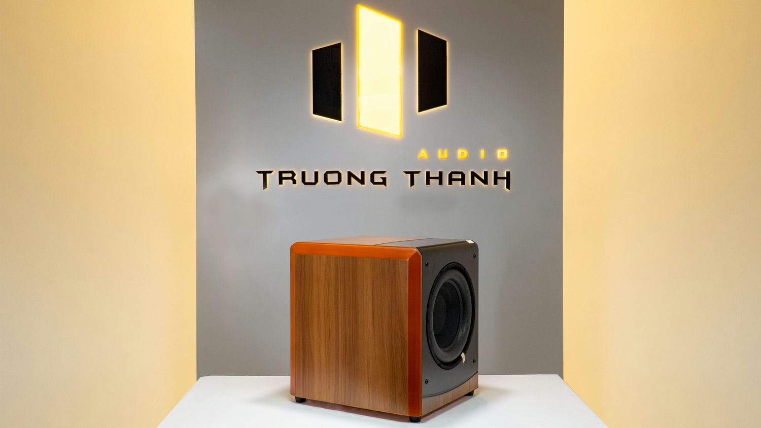 Ảnh nổi bật của sản phẩm Loa Sub Điện B&W DM 604-8No NEW (Sub điện bass 30) 3