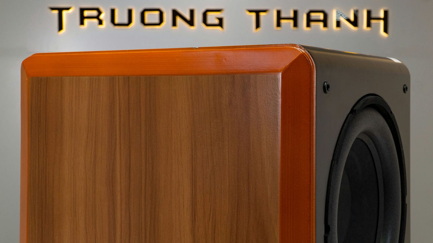 Ảnh nổi bật của sản phẩm Loa Sub Điện B&W DM 604-8No NEW (Sub điện bass 30) 13