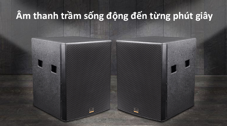 Loa sub CAF W18S Pro new 2019 âm trầm