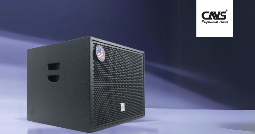 Ảnh sản phẩm Loa Sub CAVS DX115 PASSIVE (Hàng Chính Hãng Likenew) 1