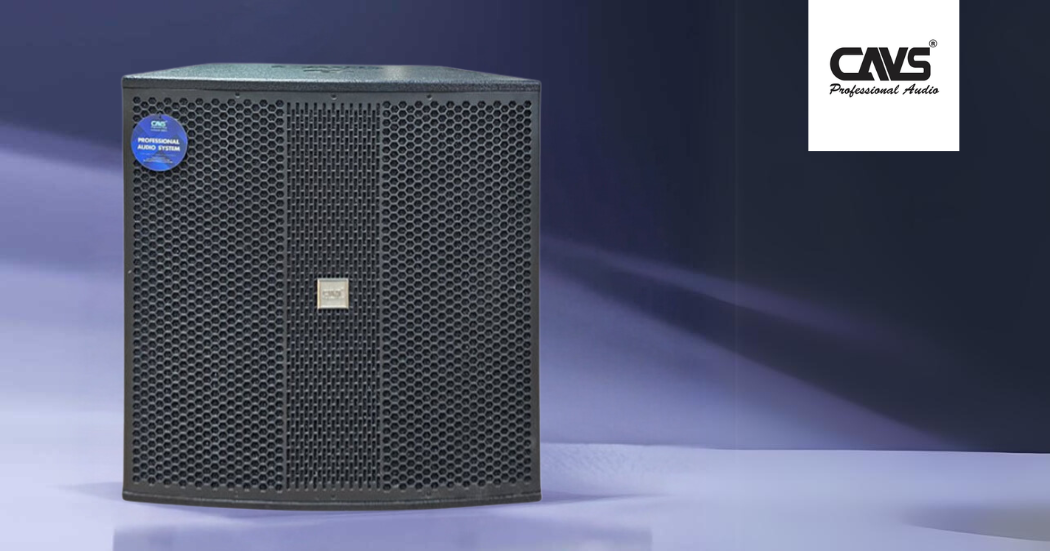 Ảnh sản phẩm Loa sub CAVS MS118 (Hàng Chính Hãng Likenew) 5