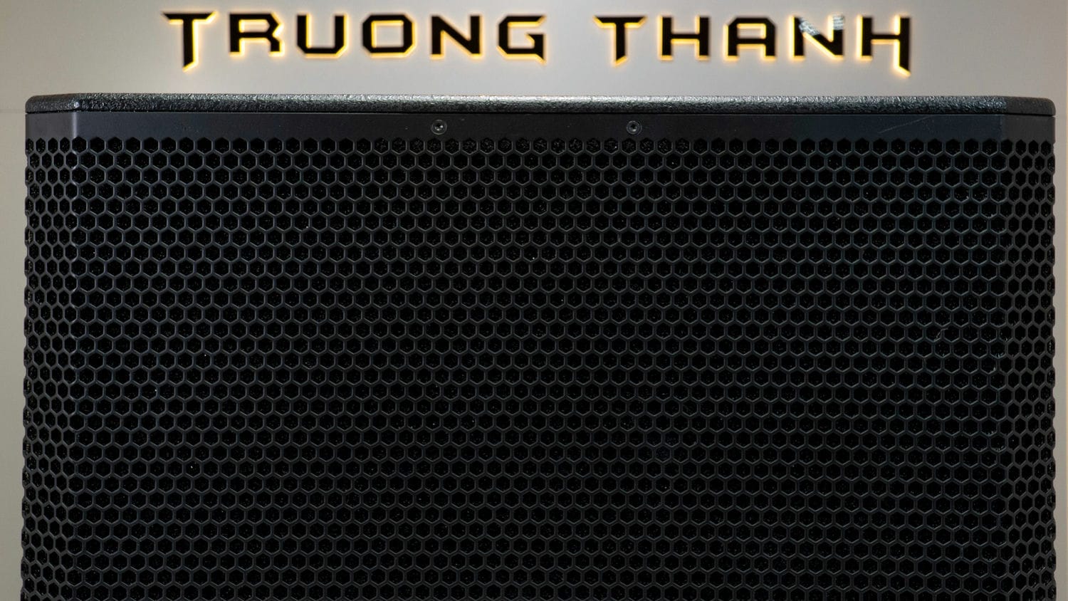 Ảnh sản phẩm Loa sub DT Delta115 bass 40cm 19