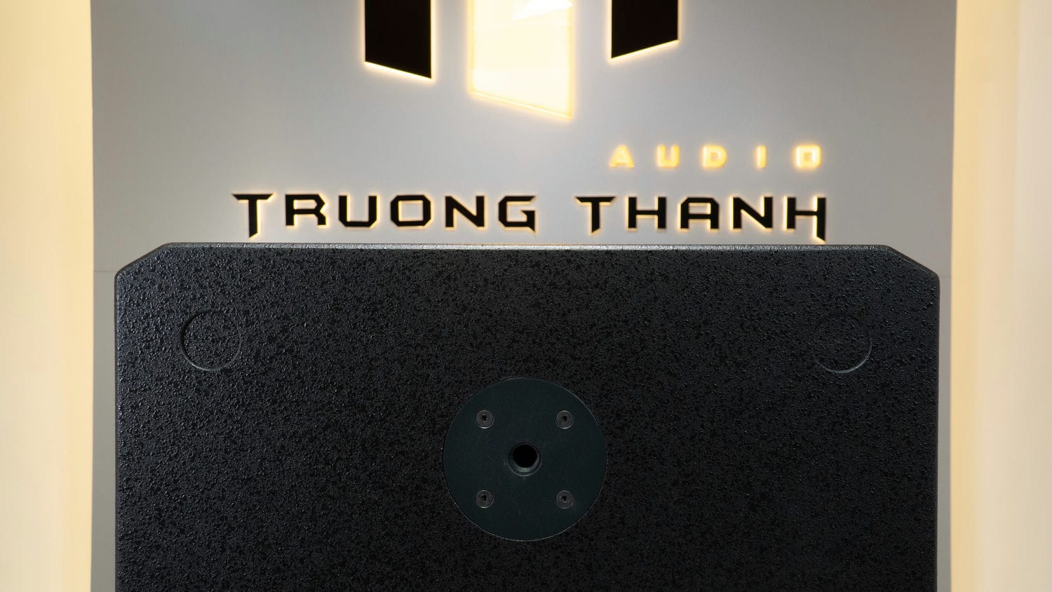 Ảnh sản phẩm Loa sub DT Delta115 bass 40cm 30