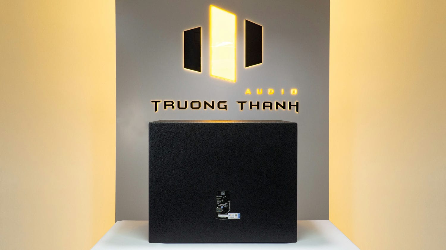 Ảnh sản phẩm Loa sub DT Delta118 bass 50cm 14