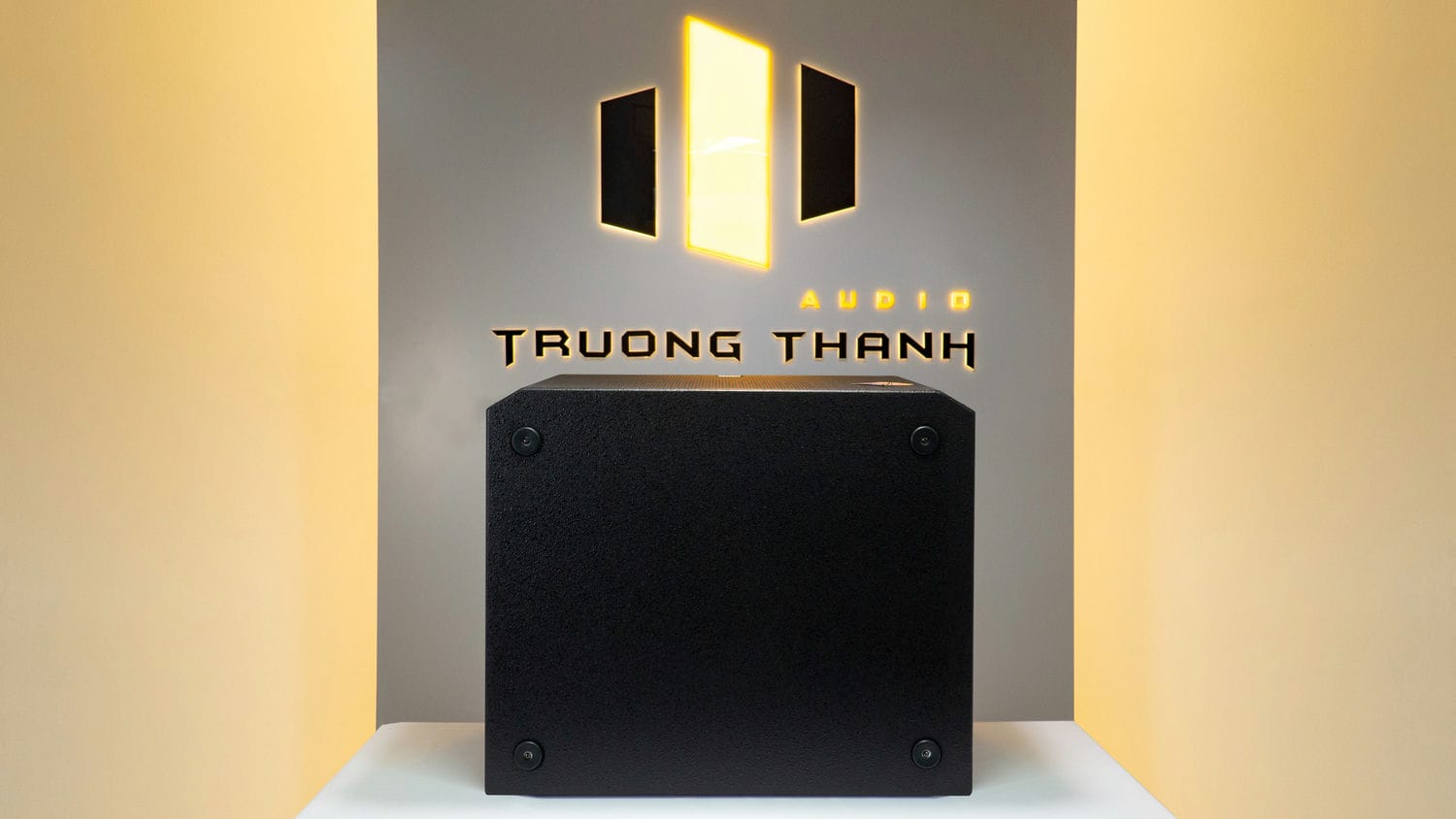 Ảnh sản phẩm Loa sub DT Delta118 bass 50cm 16
