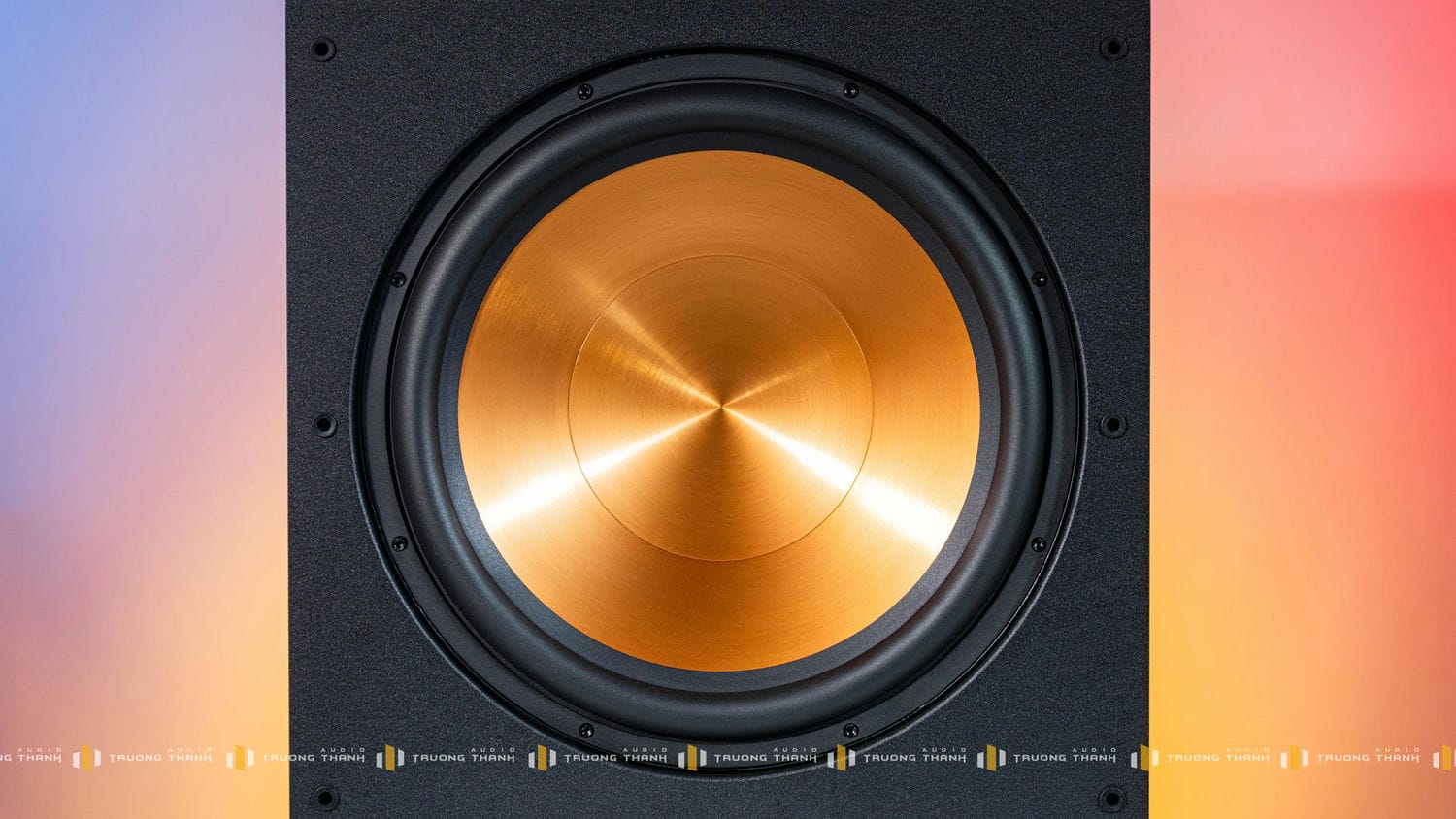 Ảnh sản phẩm Loa Sub PARAMAX SUB-D40 10