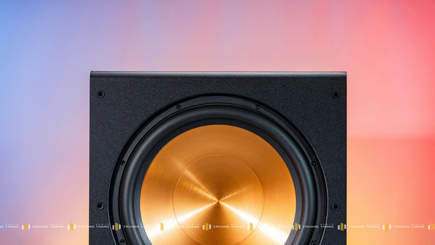 Ảnh sản phẩm Loa Sub PARAMAX SUB-D40 9