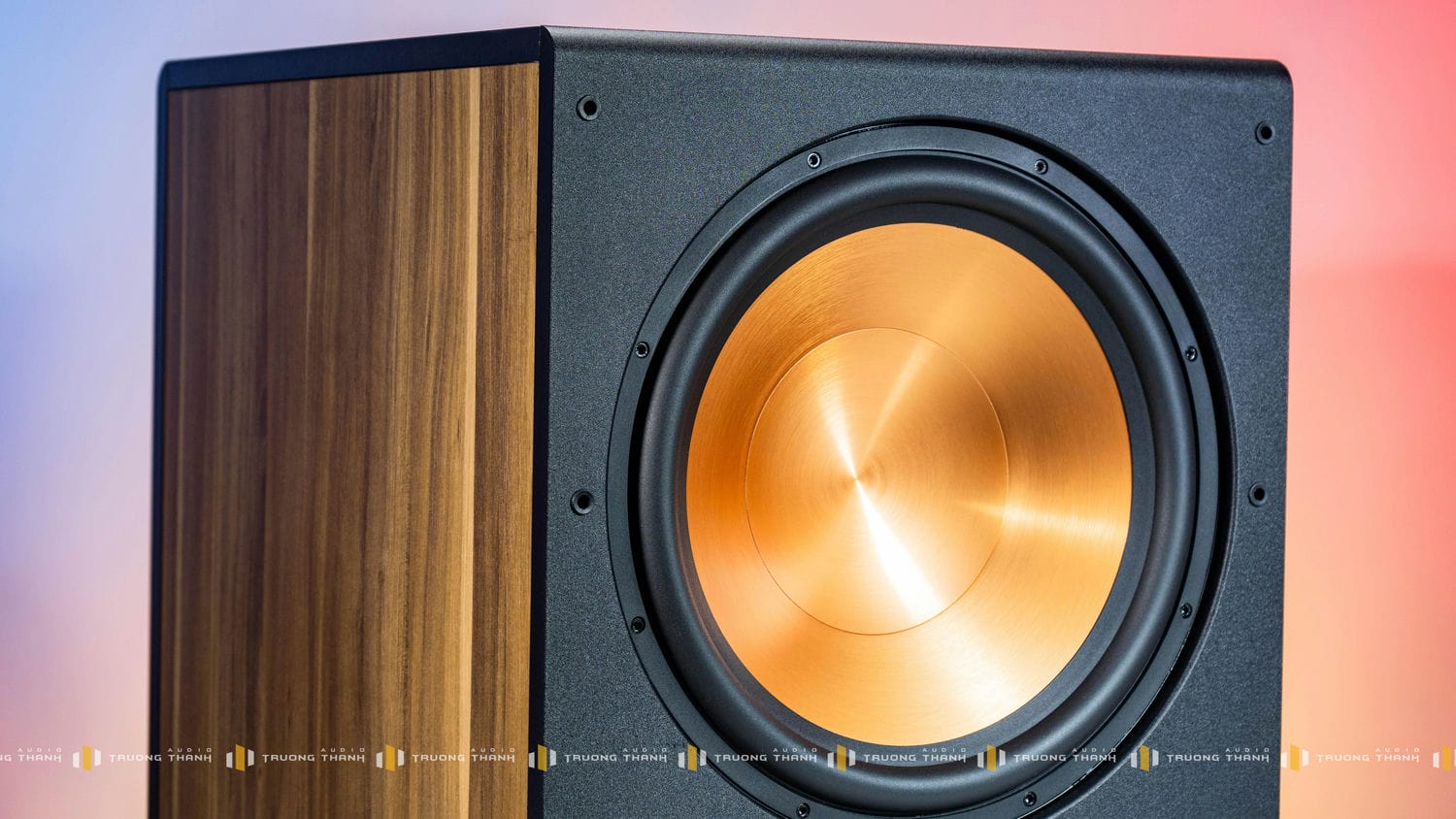 Ảnh sản phẩm Loa Sub PARAMAX SUB-D40 8