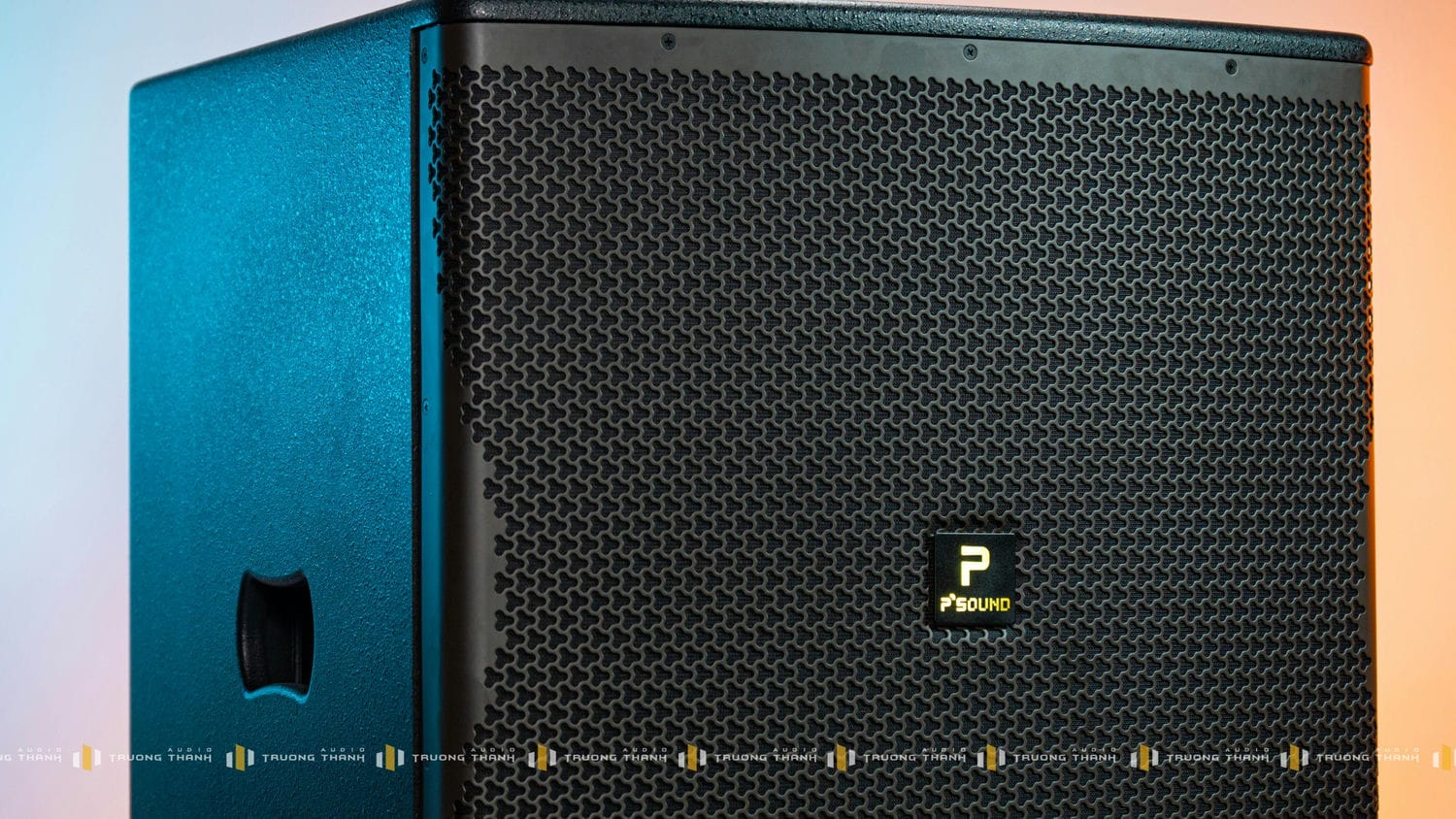 Ảnh sản phẩm Loa Sub P'sound SUB-6018 bass 50cm 13