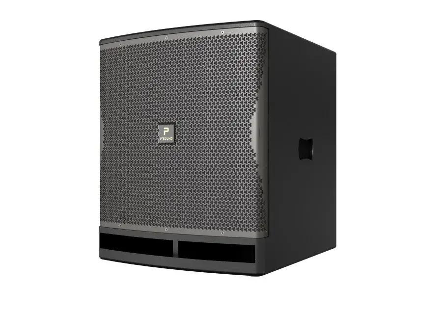 Ảnh sản phẩm Loa Sub P'sound SUB-6018 bass 50cm 4