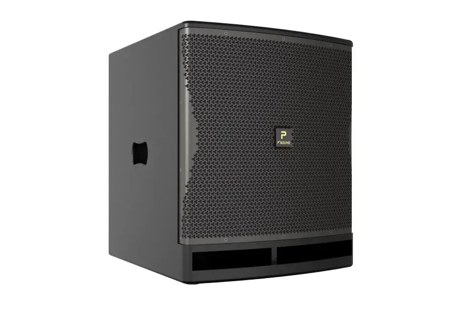 Ảnh sản phẩm Loa Sub P'sound SUB-6018 bass 50cm 1