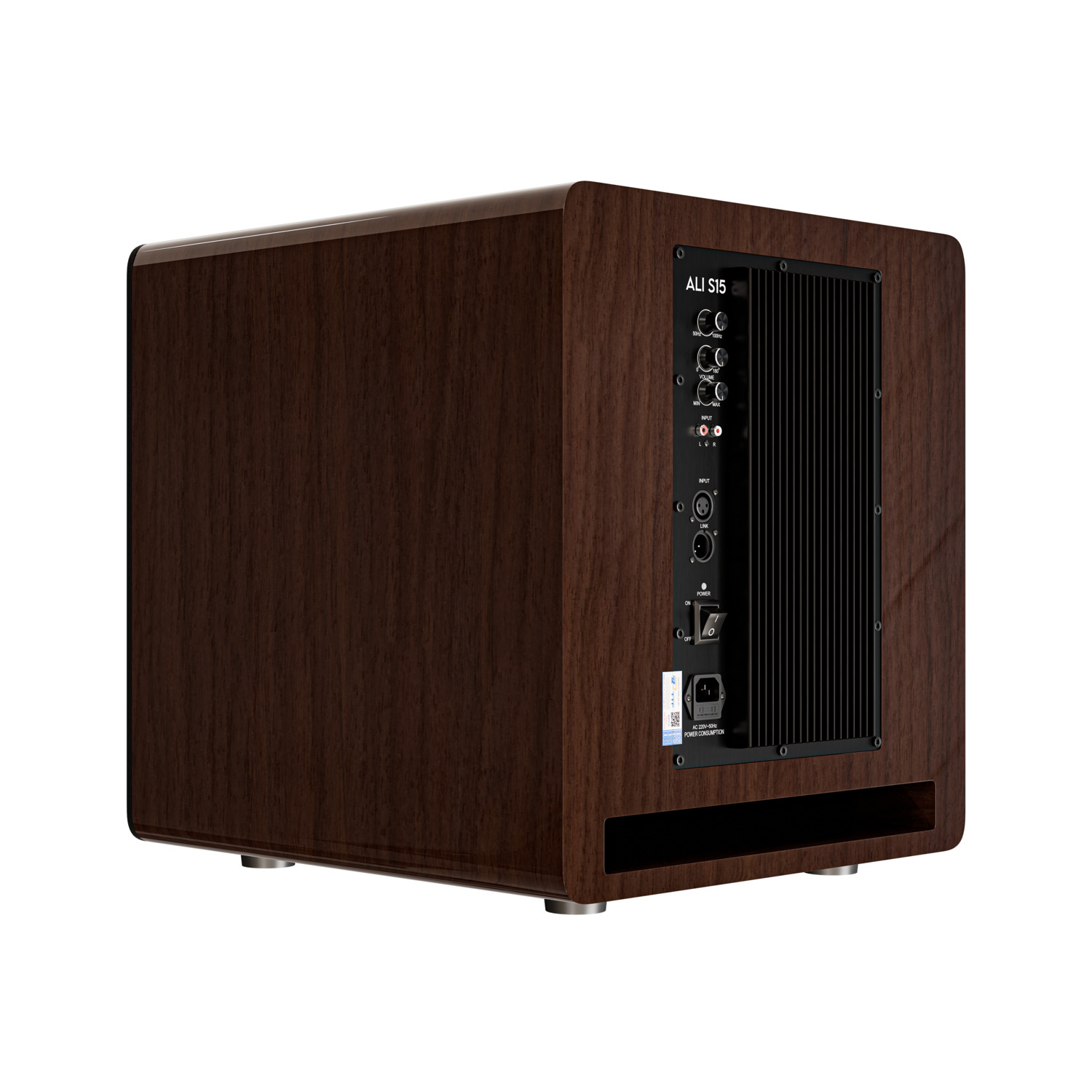 Mặt nghiêng góc sau Loa sub Sasion ALI S15 4