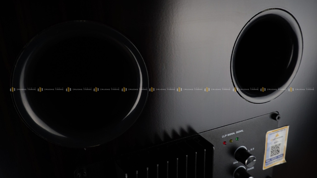 Ảnh sản phẩm Loa Subwoofer CAVS TLS12 (VERSION 1) 6
