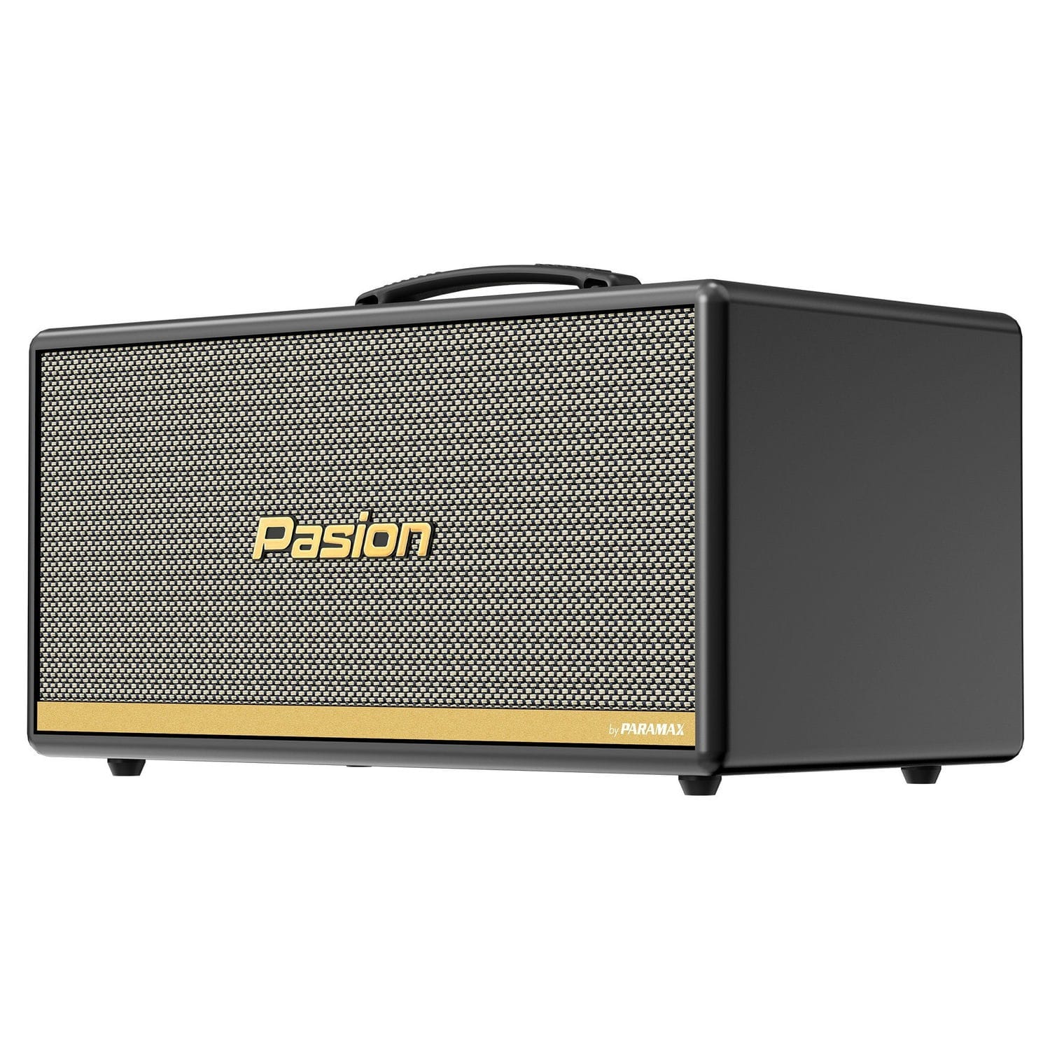 Ảnh sản phẩm Loa Di Động Xách Tay Paramax PASION 2c 10