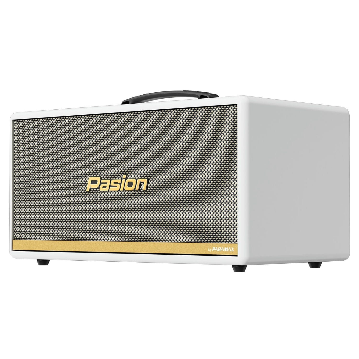 Ảnh sản phẩm Loa Di Động Xách Tay Paramax PASION 2c 7