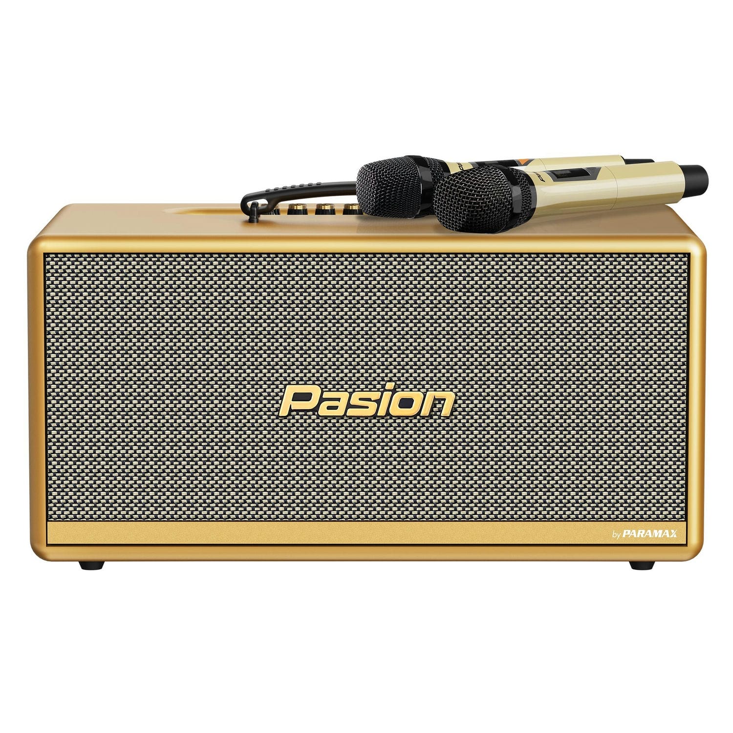 Ảnh sản phẩm Loa Di Động Xách Tay Paramax PASION 2c 1