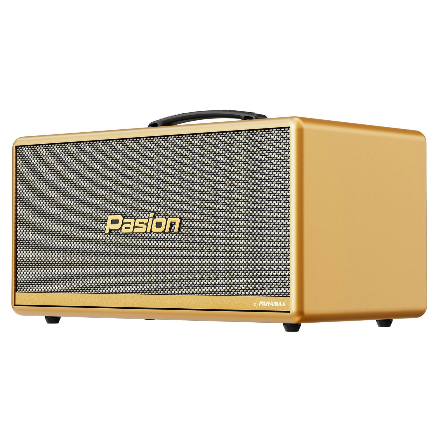 Ảnh sản phẩm Loa Di Động Xách Tay Paramax PASION 2c 6